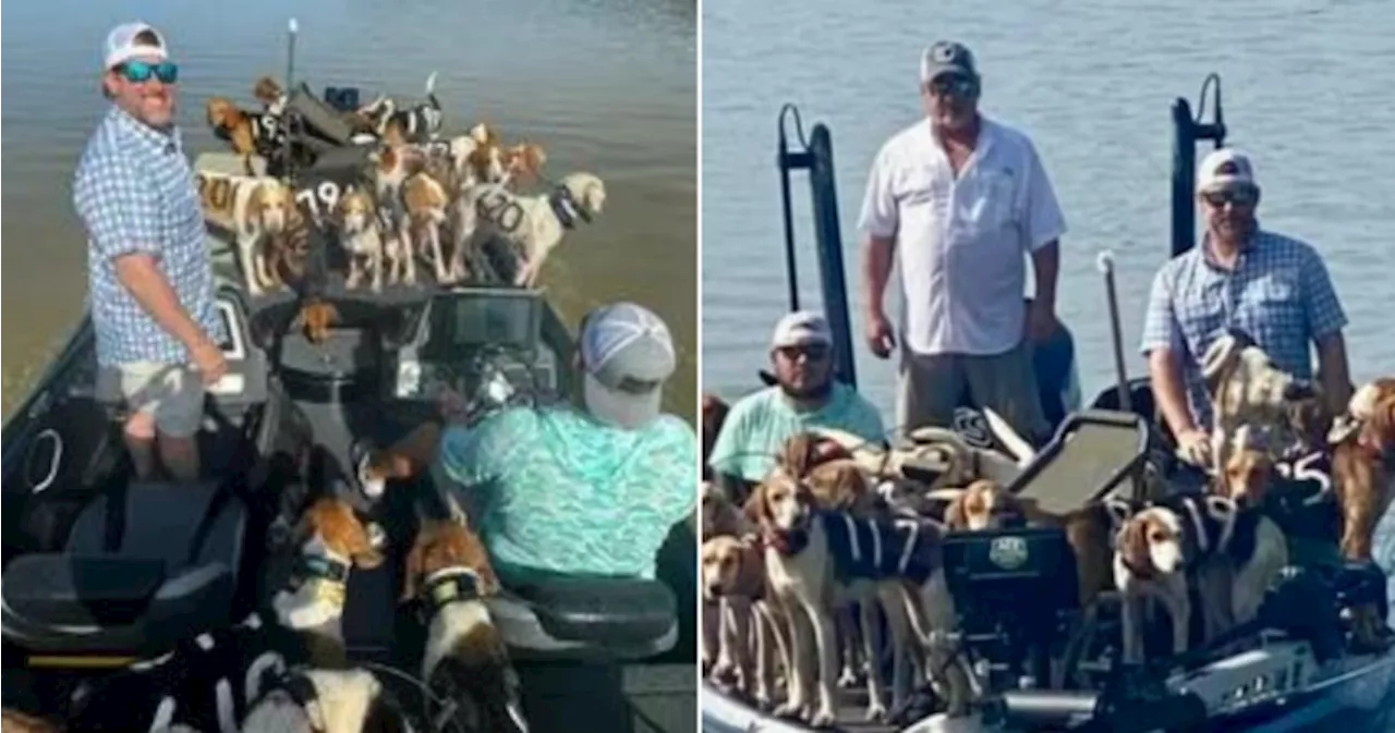 Fishermen rescue 38 dogs on the verge of drowning from Mississippi lake