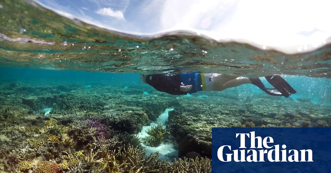 ‘Bloody brilliant’: businessman stripped of far north Queensland island