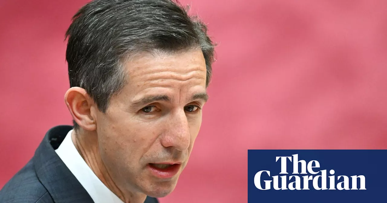 Coalition would not copy Morrison government’s approach to China diplomacy, says Simon Birmingham