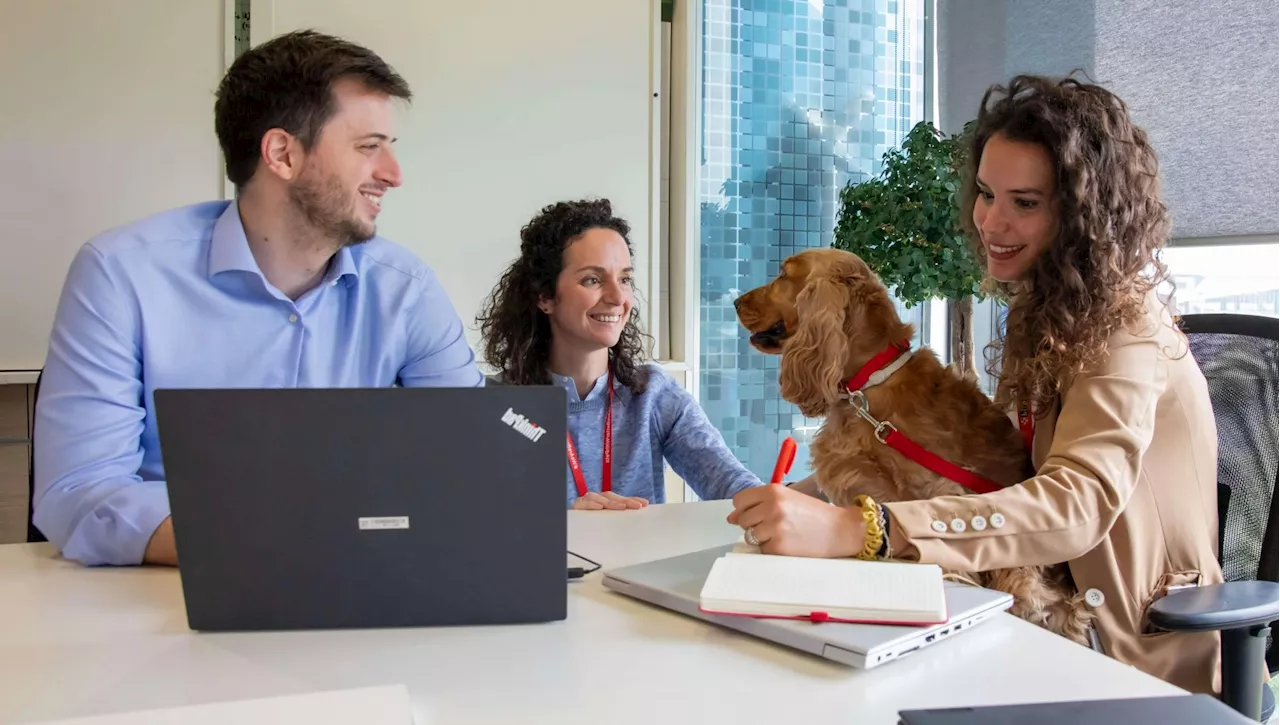 Il cane entra in ufficio: ecco la pappa ideale per farlo stare bene