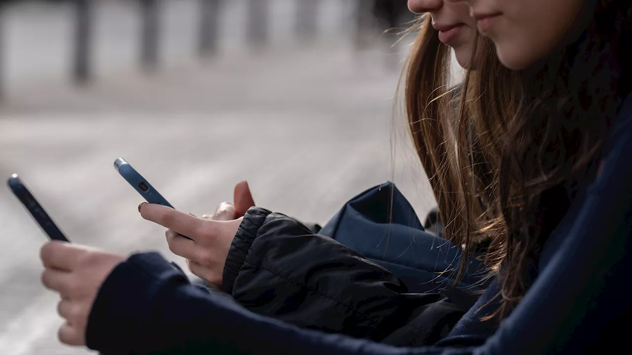 La Ertzaintza y Microsoft enseñan a ser 'ciberinteligentes' a niños y jóvenes vascos