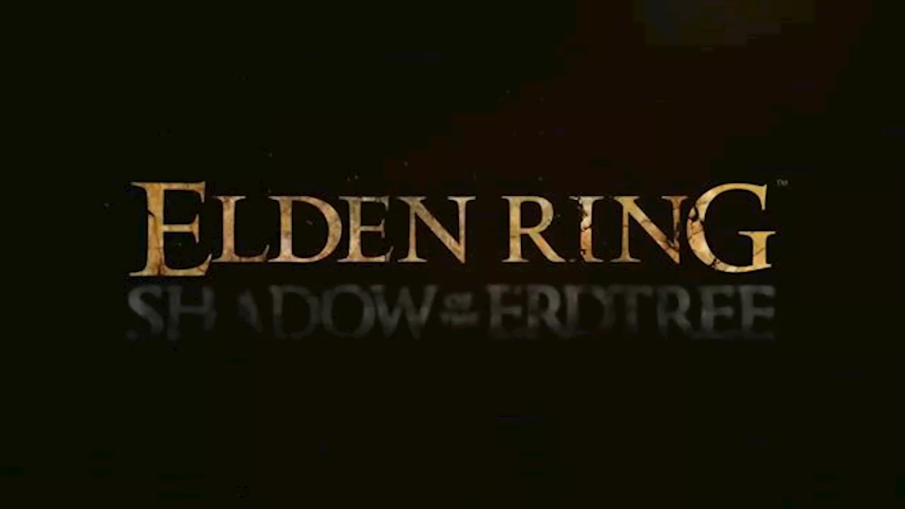 Elden Ring DLC mit Problemen auf dem Steam Deck: Unangemesses Verhalten erkannt