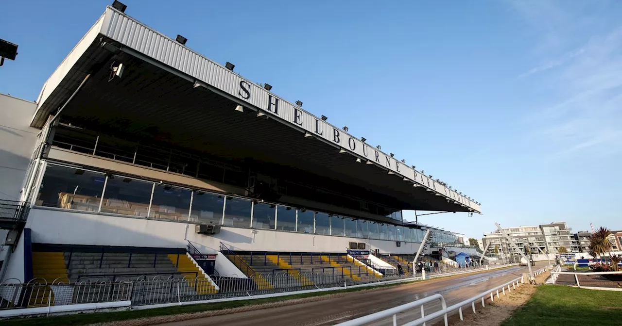 All eyes on Tuono Charlie in Corn Cuchulainn 750 semi-final at Shelbourne Park