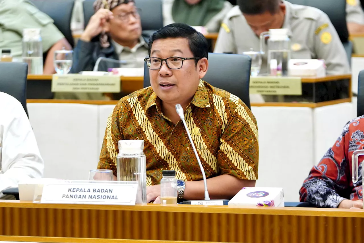 Begini Penjelasan Kepala Bapanas Arief Prasetyo Adi soal Demurrage Beras Bulog