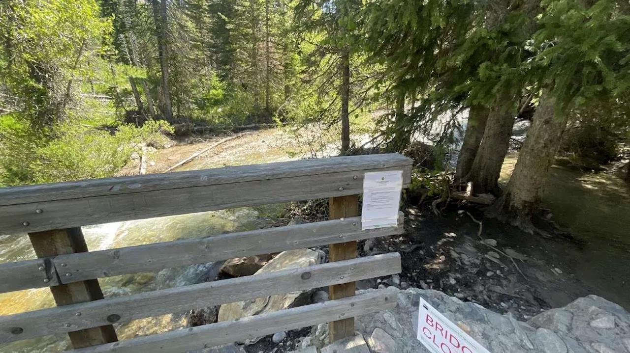 High runoff causes extreme flooding, bridge damage in Little Cottonwood Canyon trails