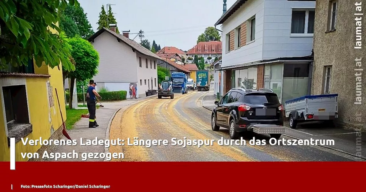 Verlorenes Ladegut: Längere Sojaspur durch das Ortszentrum von Aspach gezogen