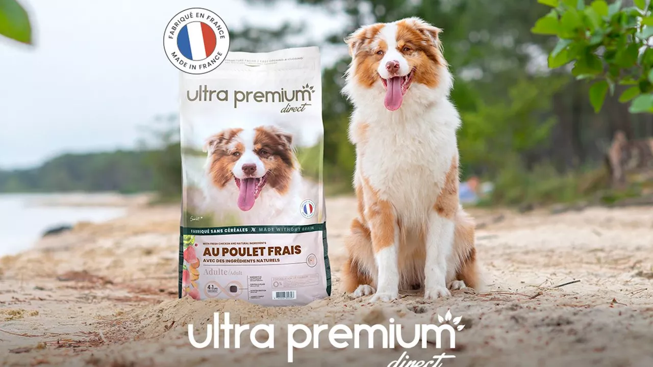 Avis Ultra Premium Direct : que pensent les clients de cette marque d’aliments pour animaux ?