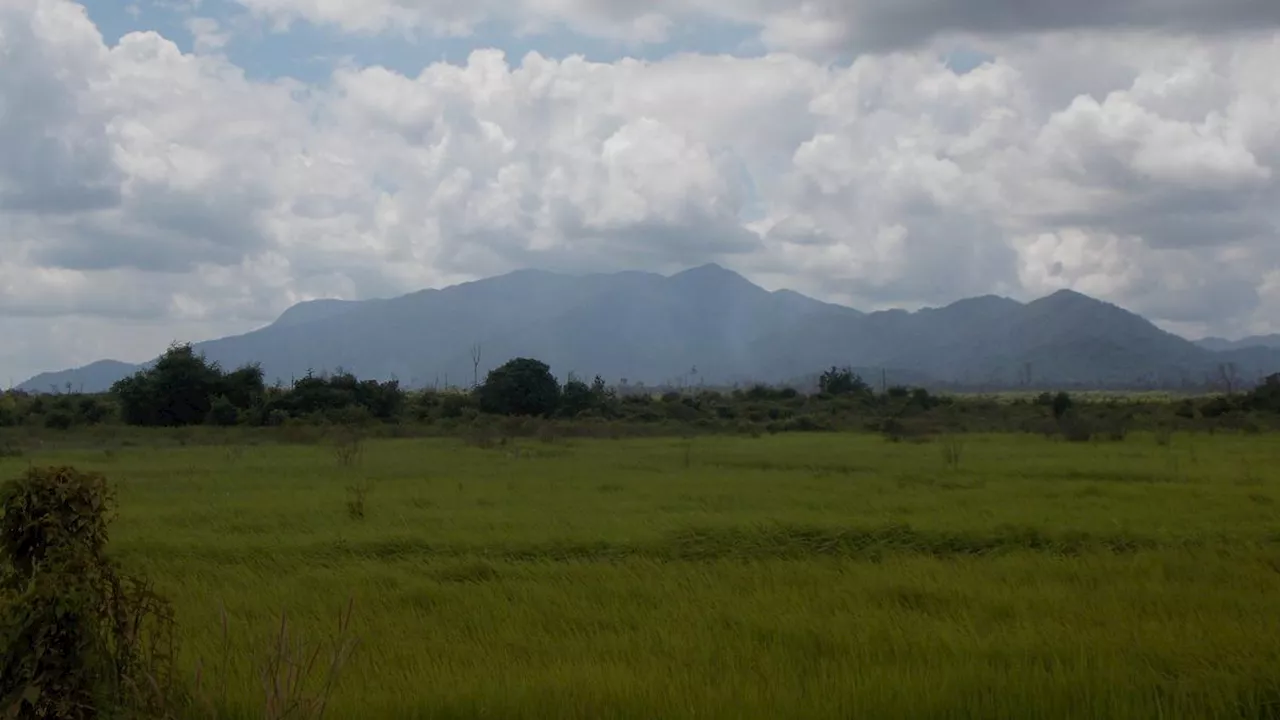 6 Fakta Menarik Gunung Palung di Kalimantan Barat yang Satu Kawasan dengan Gunung Ponti