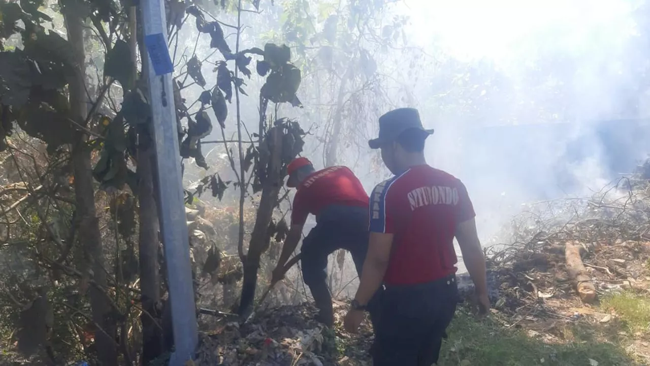 Karhutla Landa Hutan Jati di Situbondo, Satu Hektare Lahan Hangus