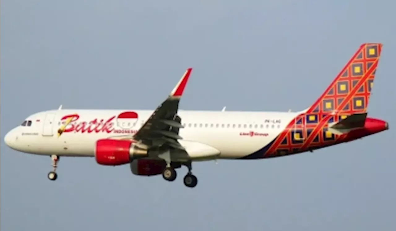 Batik Air temporarily suspends flights to and from Auckland, expects route back in place December 2024