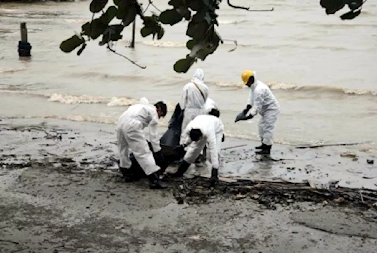 DoE: Minimal impact in Johor from Singapore oil spill