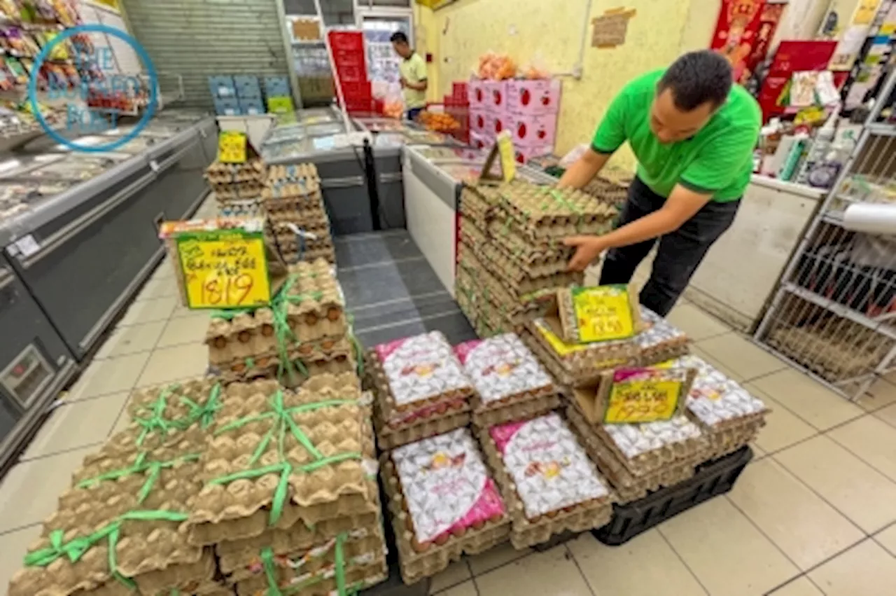 Drop in eggs prices not felt much by Kuching consumers; grocery store owners clueless