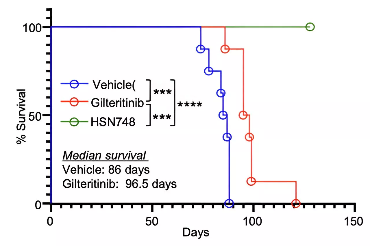 Researchers develop new compound designed to treat drug-resistant acute myeloid leukemia