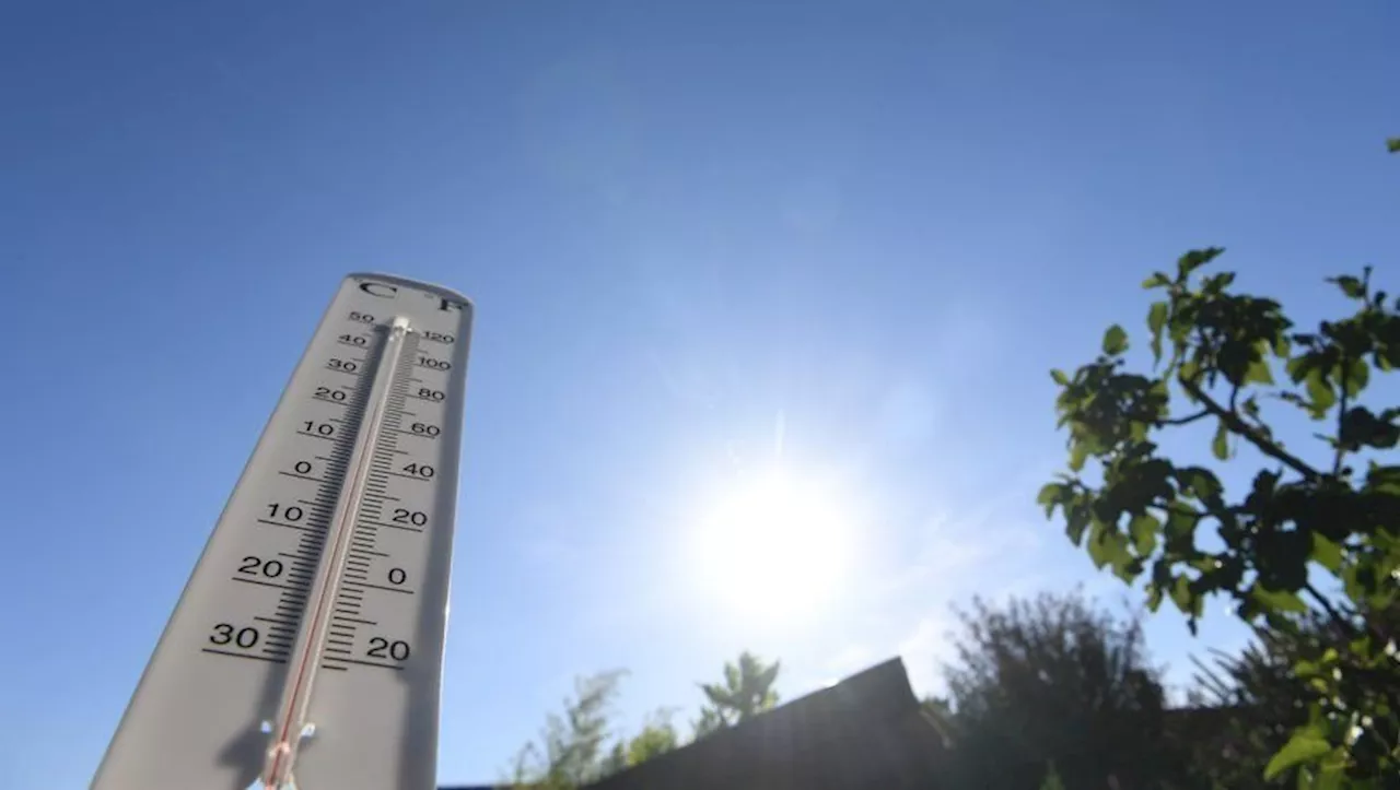 Des 'températures naturelles extrêmes' : 155 personnes meurent à cause de la canicule au Mexique