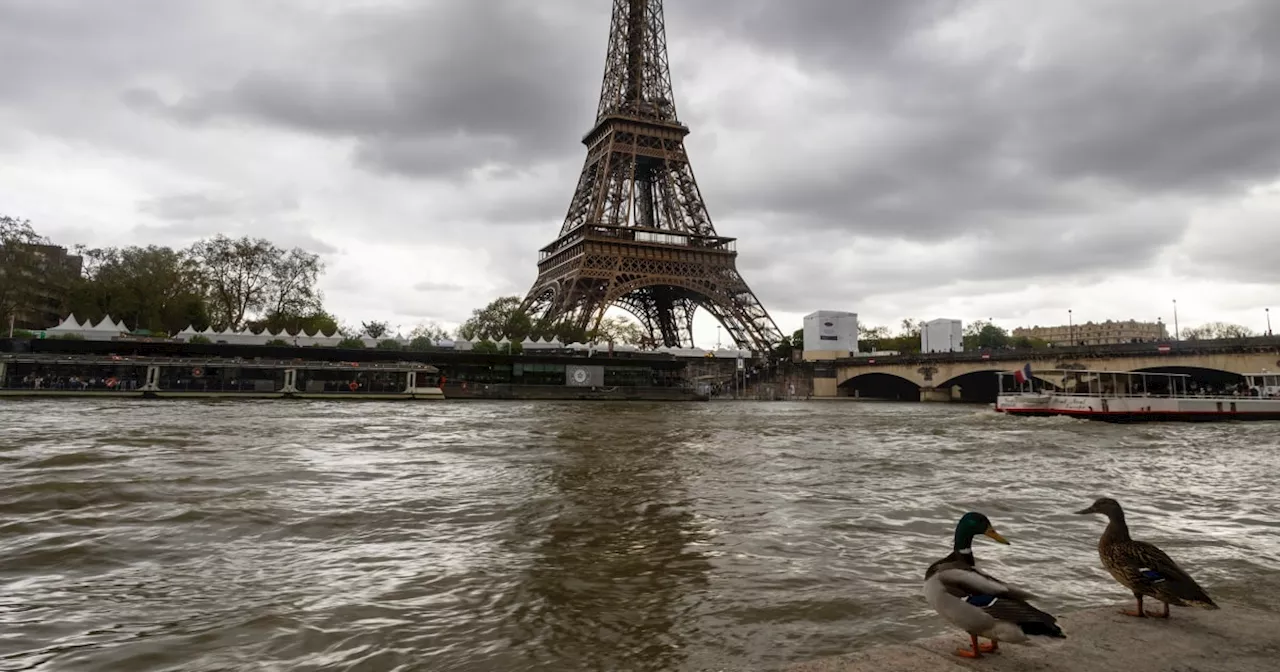 Contamination levels in the Seine still unsafe for Paris Olympians: report