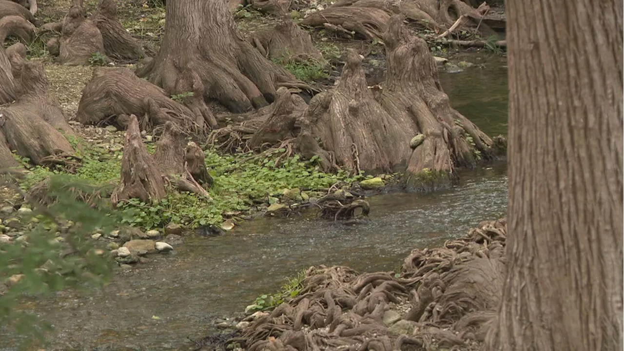 South Texas still grapples with severe drought despite recent rains