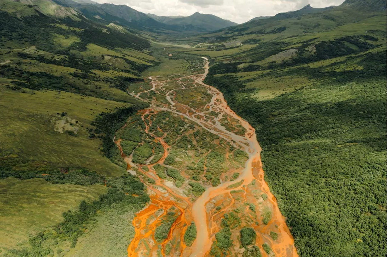 Photos of a rusting Alaskan river win New Scientist Editors Award