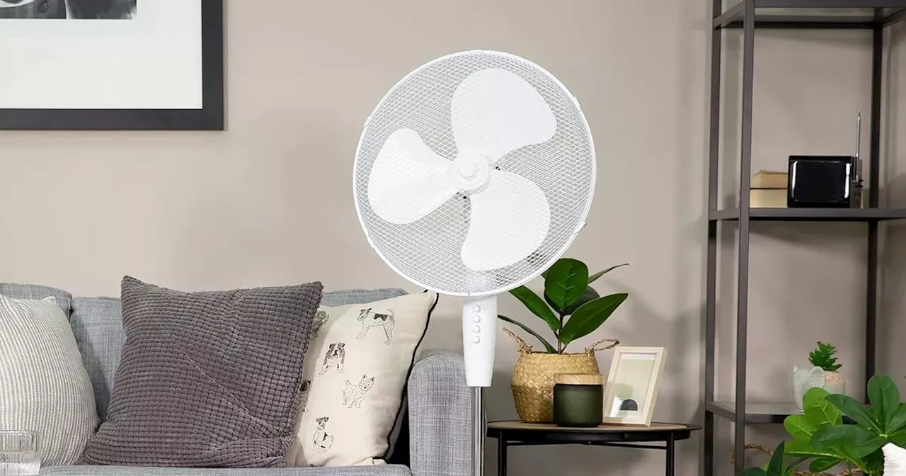 Amazon shoppers praise 'sturdy' £25 fan that's an 'absolute lifesaver'