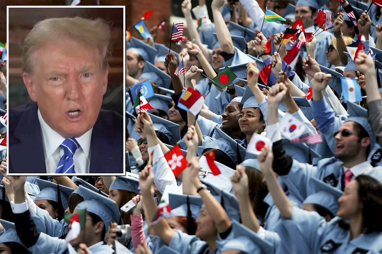 Conservative border hawks slam Trump's college green card vow for foreign students