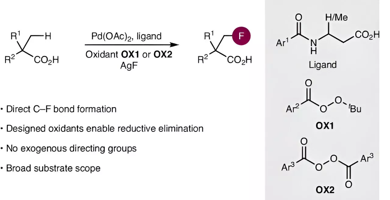 Novel synthesis of fluorinated molecules with potential in drug research