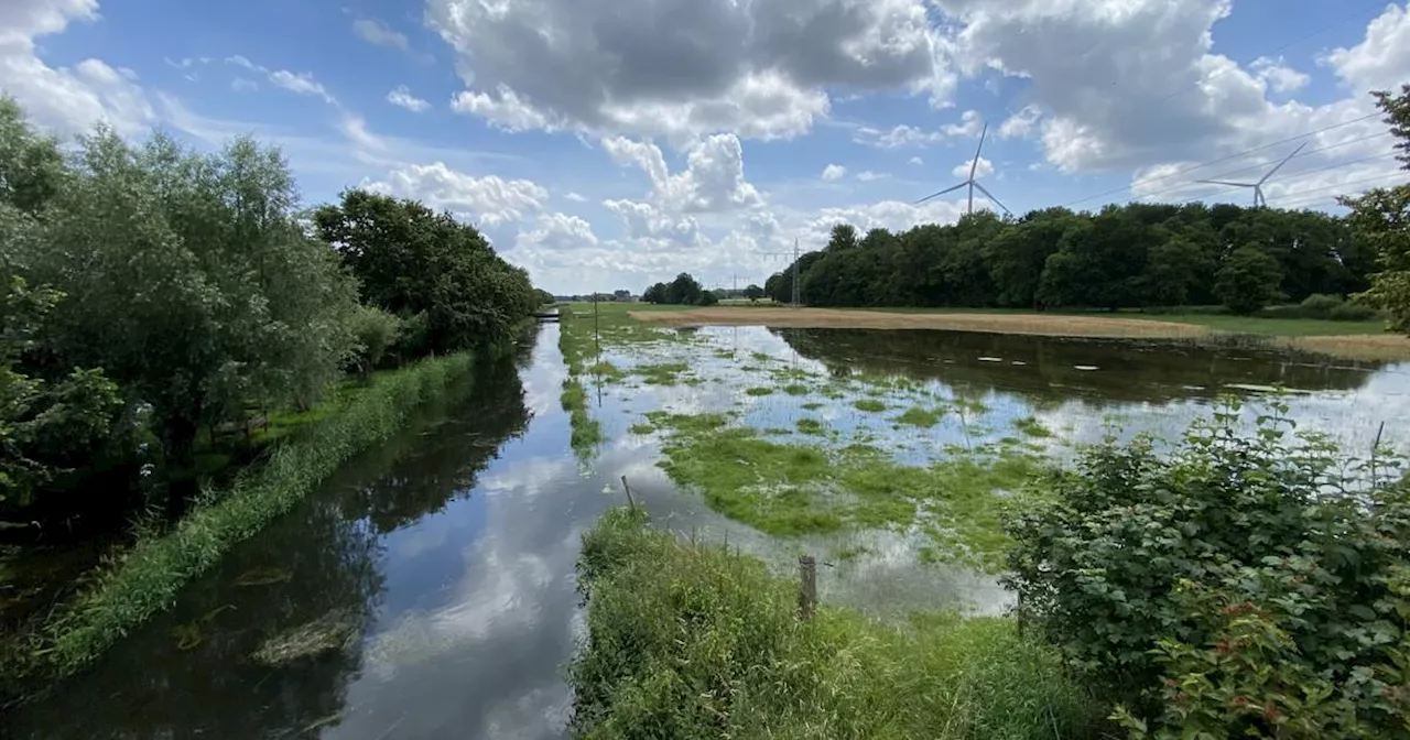 Wachtendonk/Geldern: Gründe fürs Hochwasser an kleiner Niers