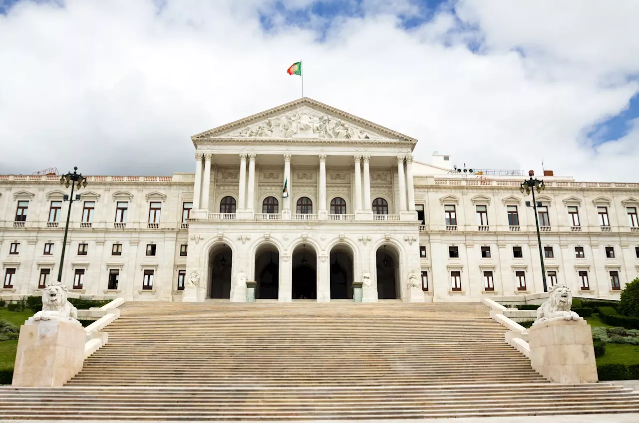 Caso das gémeas: mãe das crianças ouvida no Parlamento