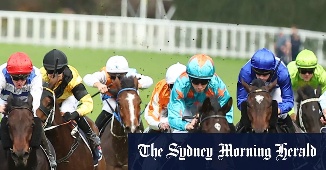 Race-by-race preview and tips for Randwick on Saturday