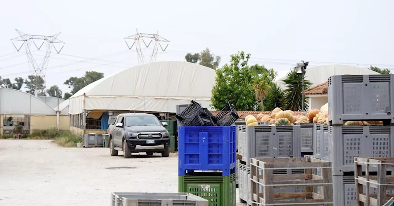 Caporalato, nelle campagne italiane 230mila lavoratori sfruttati