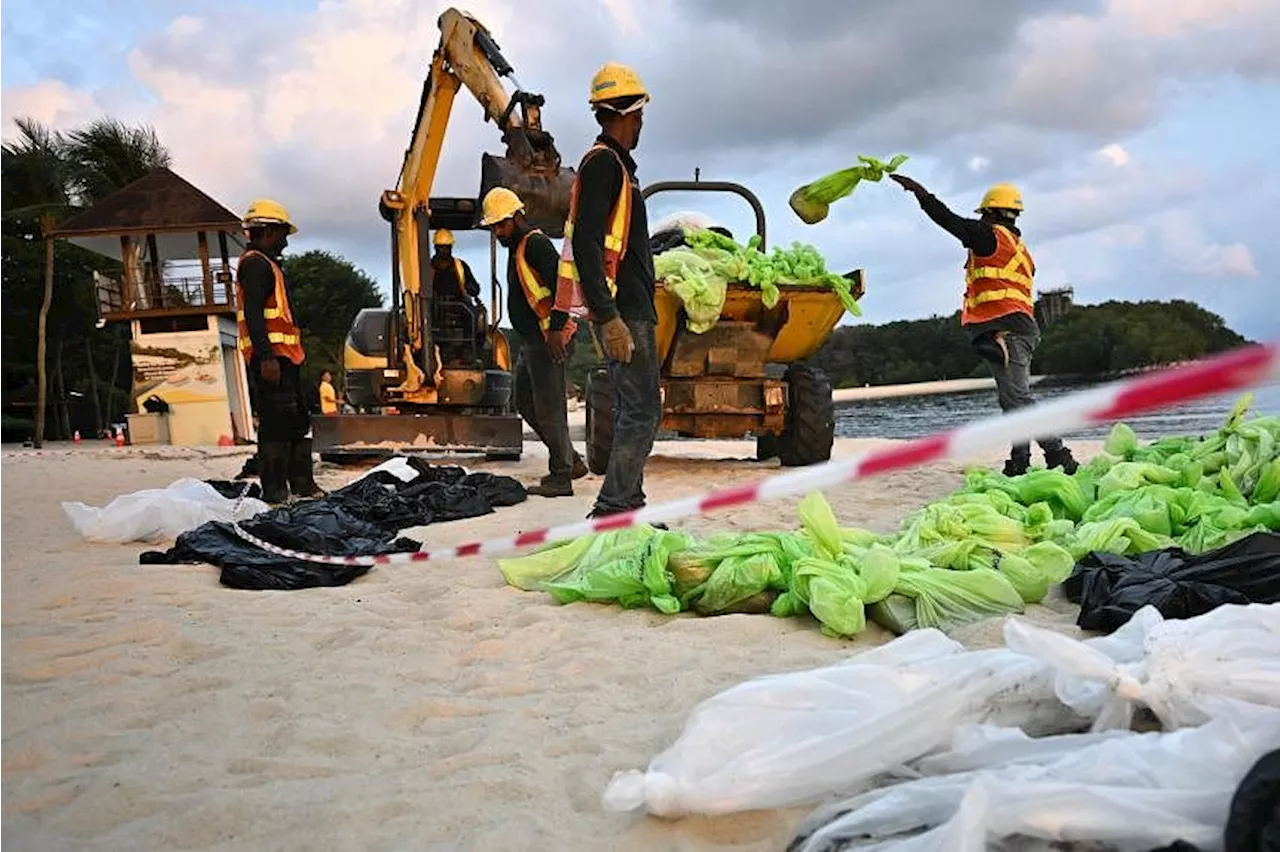 Over 71,000kg of oil-soaked sand scooped up at Sentosa’s beaches following oil spill