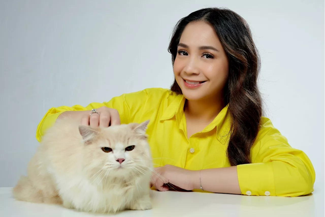 Nagita Slavina Pilih Makanan Berkualitas untuk Kucing-kucing Kesayangannya