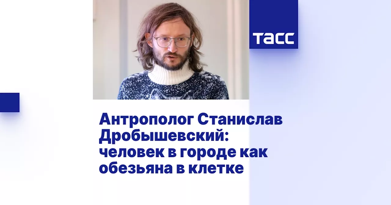 Антрополог Станислав Дробышевский: человек в городе как обезьяна в клетке