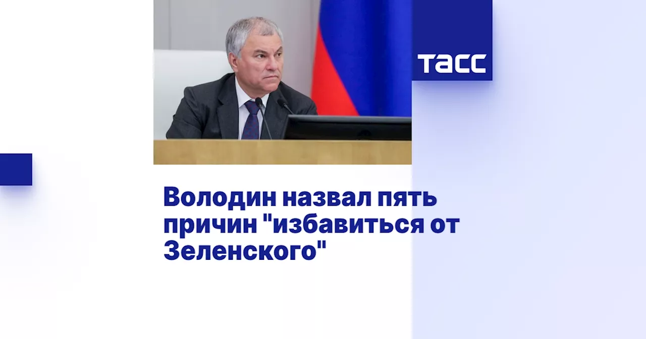 Володин назвал пять причин 'избавиться от Зеленского'