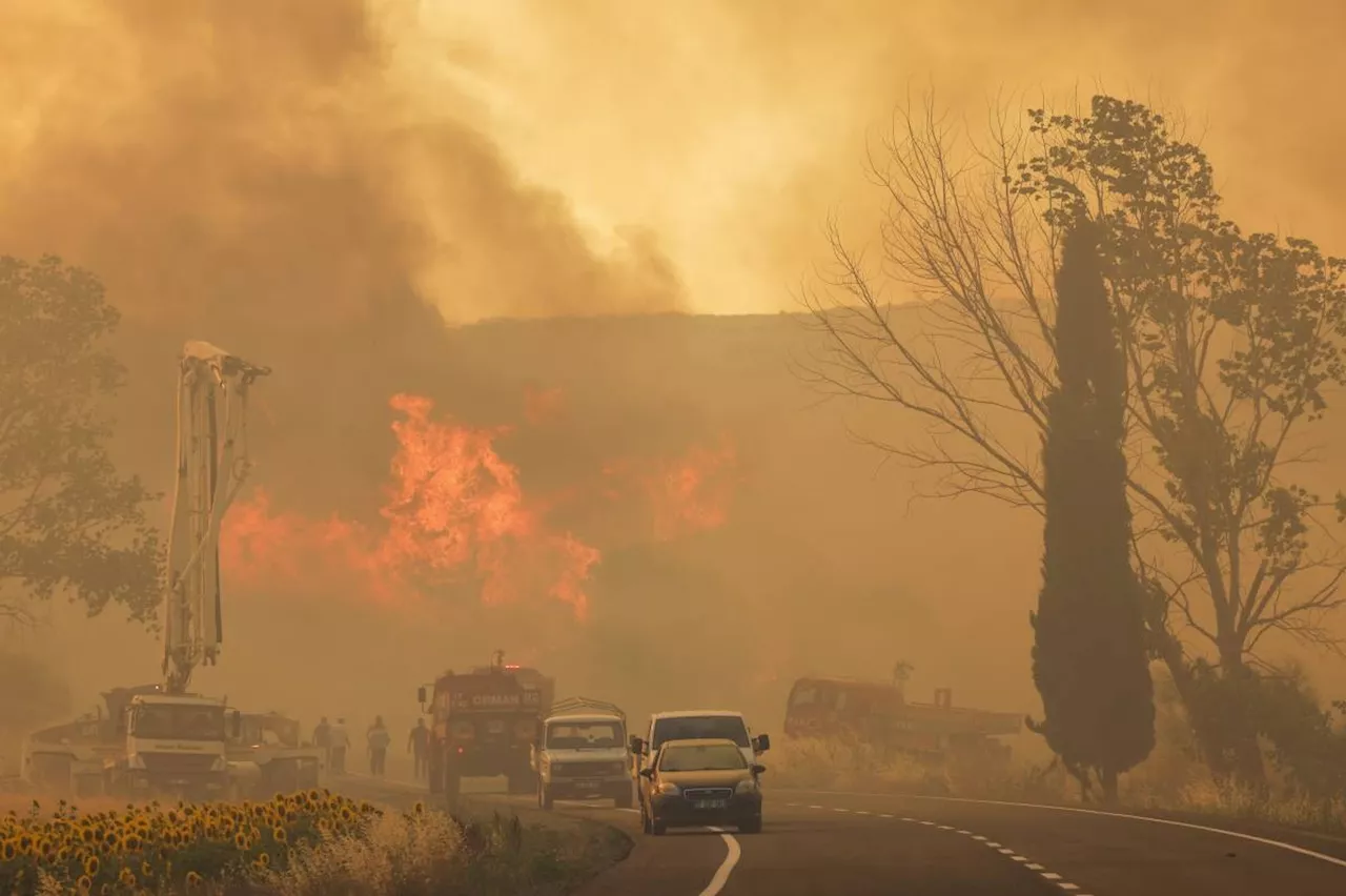 5 dead, dozens hurt in Turkey wildfire