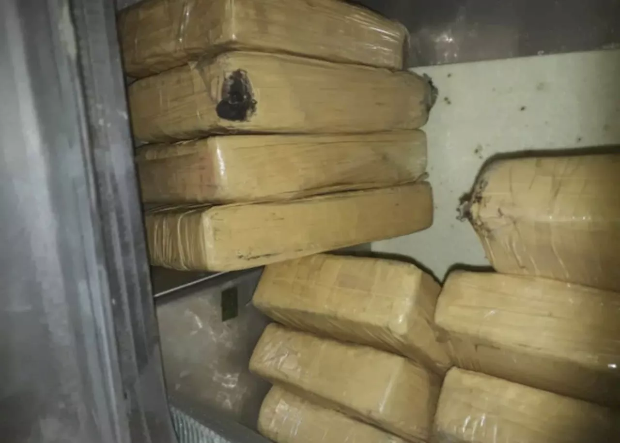 Hawks seize cocaine bricks worth R8 million headed for Free State