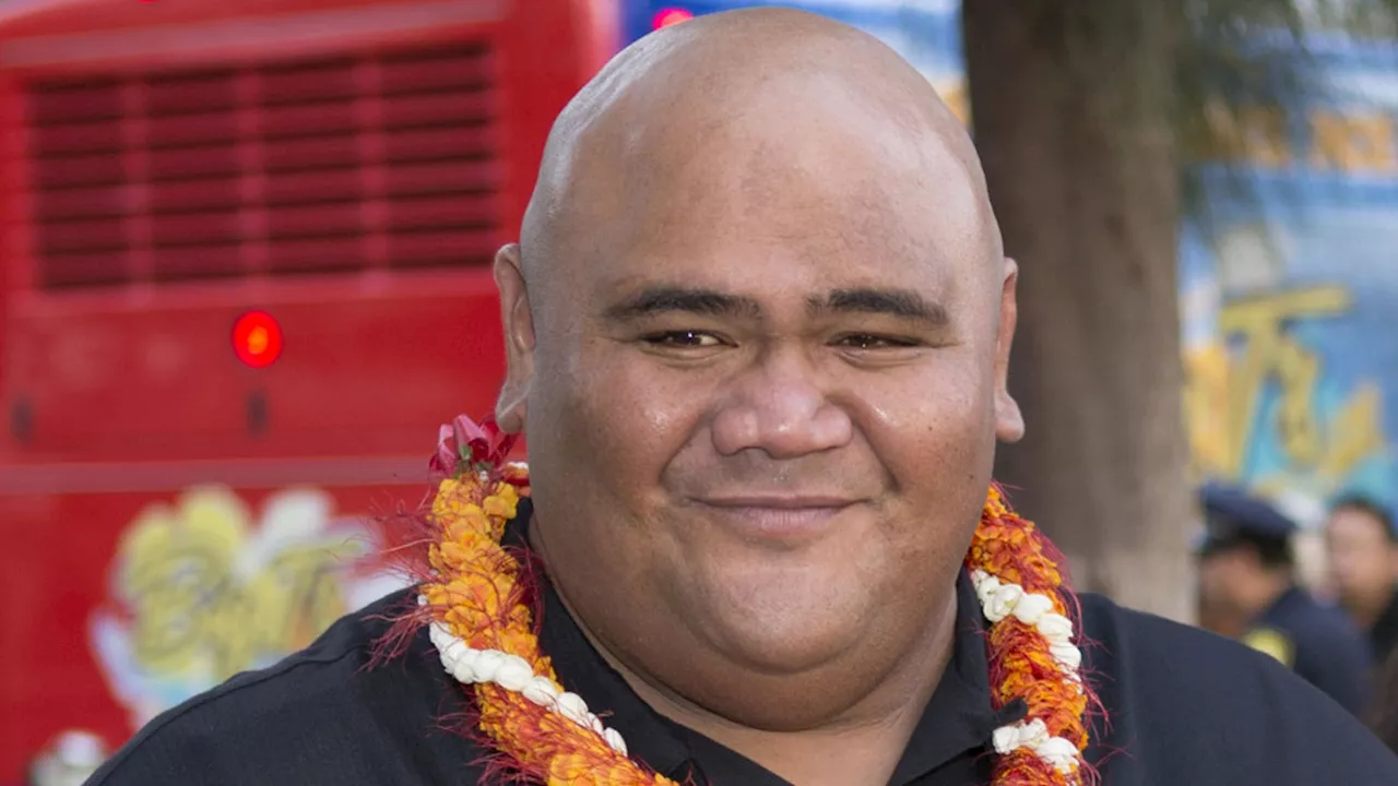 'Hawaii Five-0' Star Taylor Wily Dead at 56