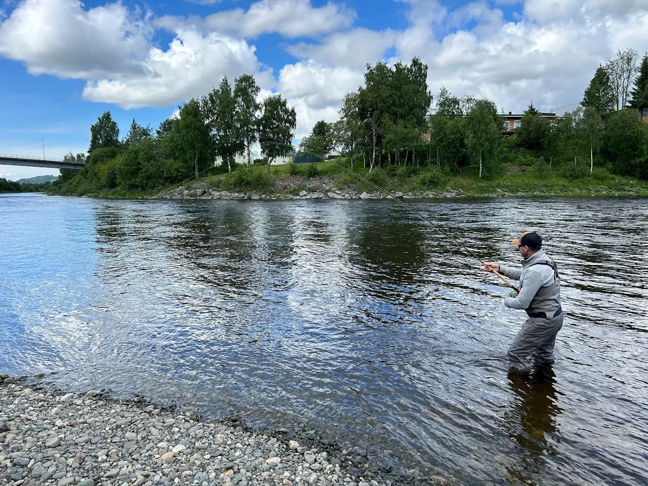 Laksefisket stanses i deler av landet fra søndag