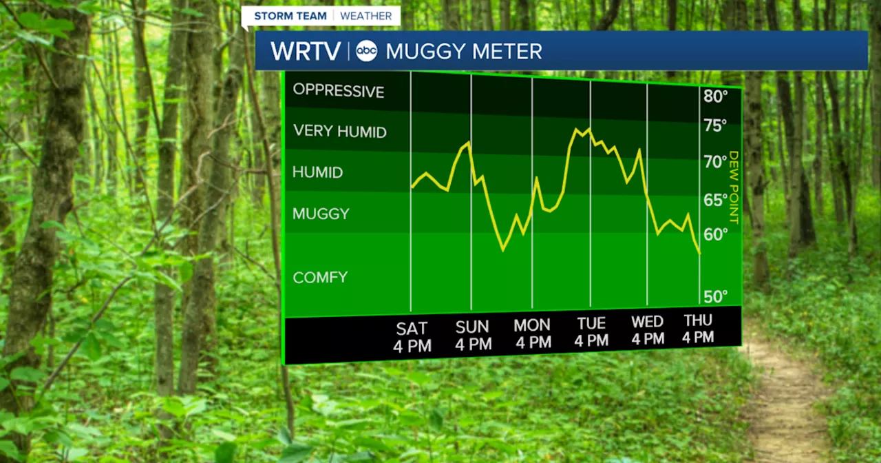 Humidity stays high this weekend