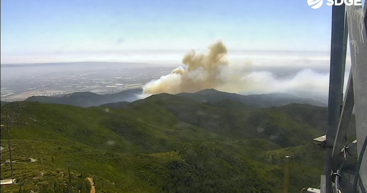 Firefighters battle 100-acre vegetation fire in Otay Mesa