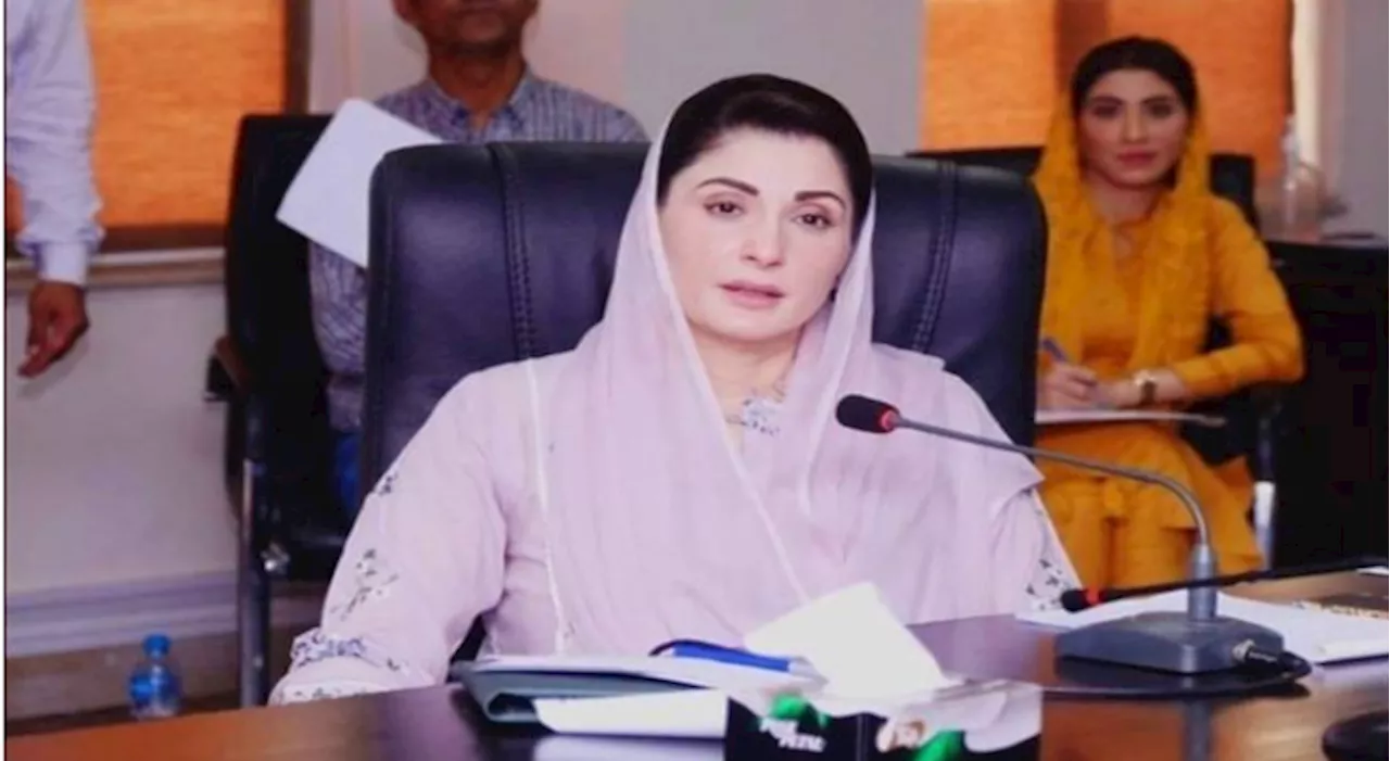 Punjab CM Maryam reviews performance of DCs, admin during Eid