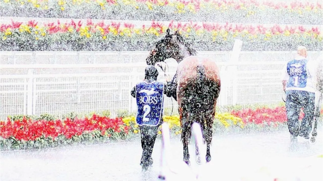 Horse racing stunner as Racing NSW officials pull plug on Randwick due to ‘persistent’ rain