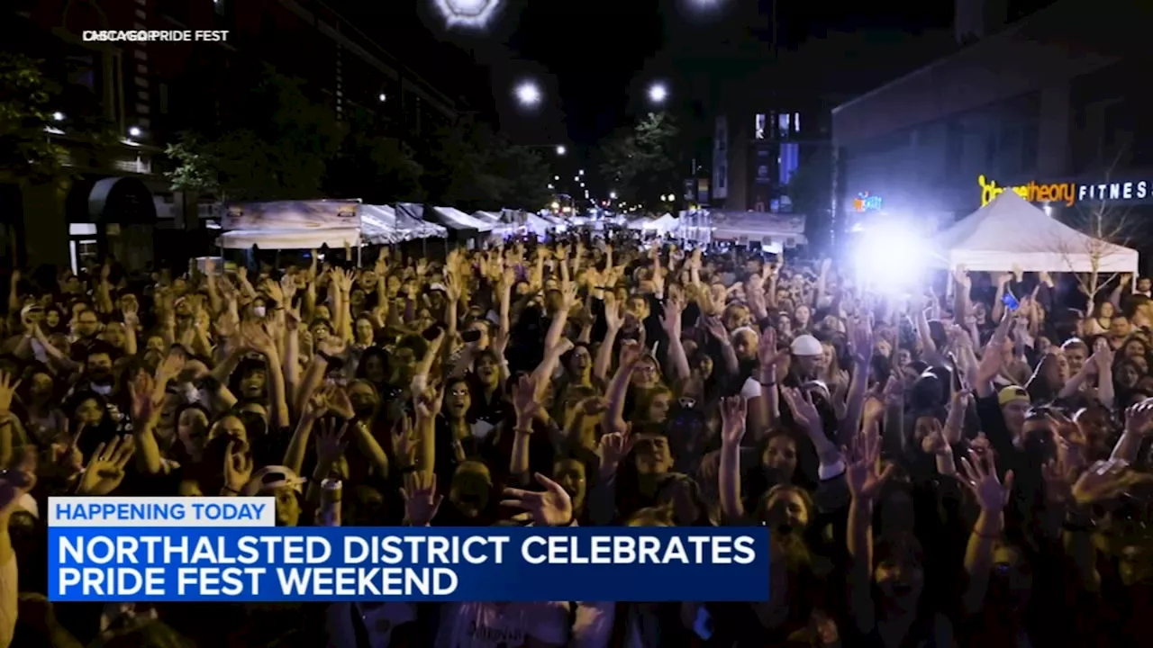 Thousands celebrate LGBTQ+ community at 23rd annual Chicago Pride Fest