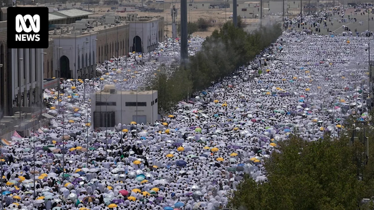 Egypt cracks down on dodgy operators after hundreds of hajj pilgrimage deaths