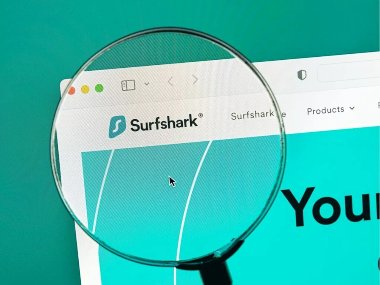 Sécurité renforcée : Surfshark Alert surveille vos données dans plus de 90 pays