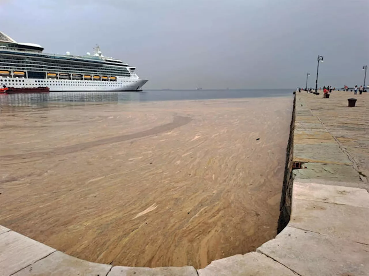 La costa di Trieste invasa dalla mucillagine