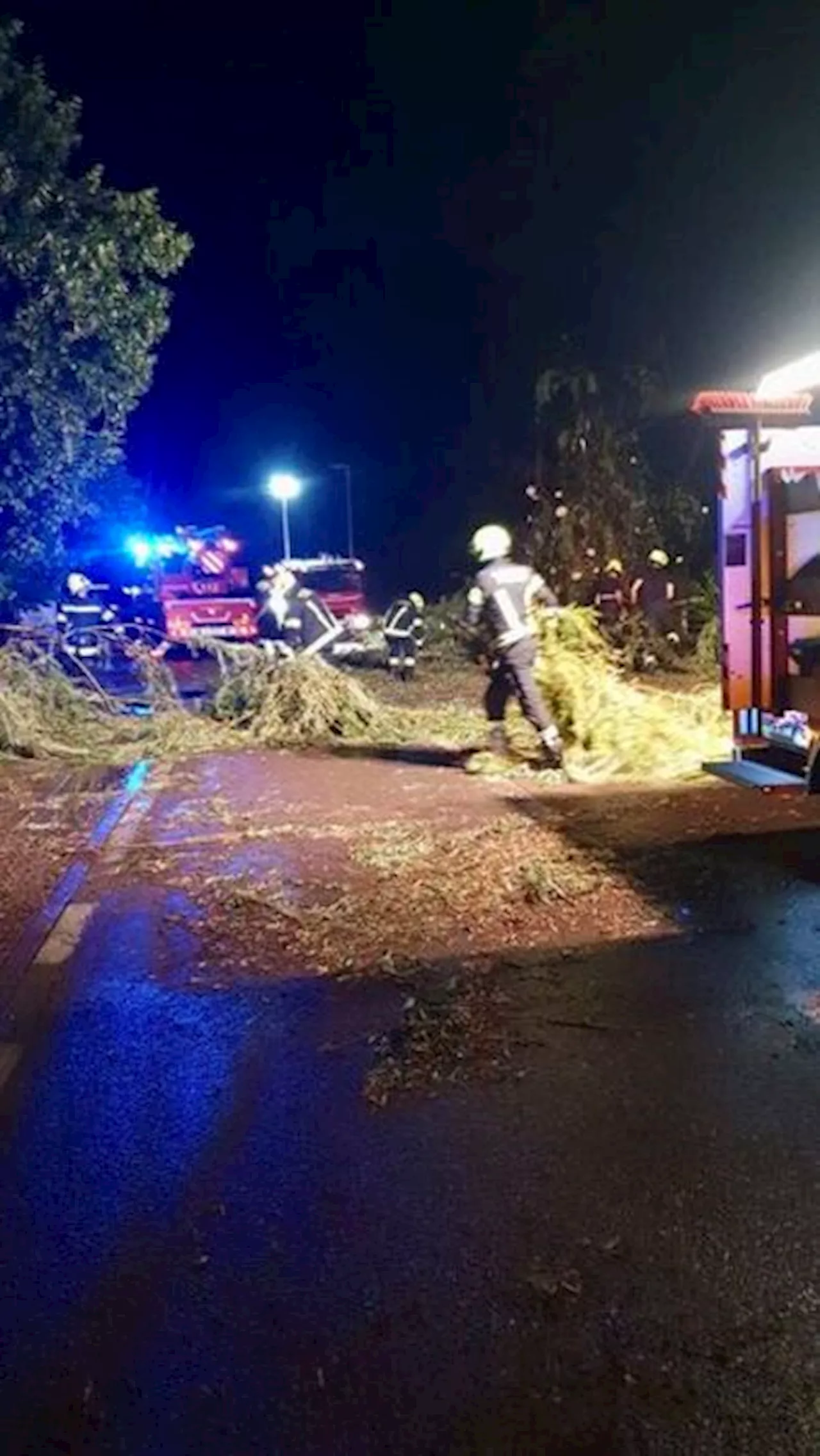 Maltempo in Alto Adige, 200 interventi dei vigili del fuoco