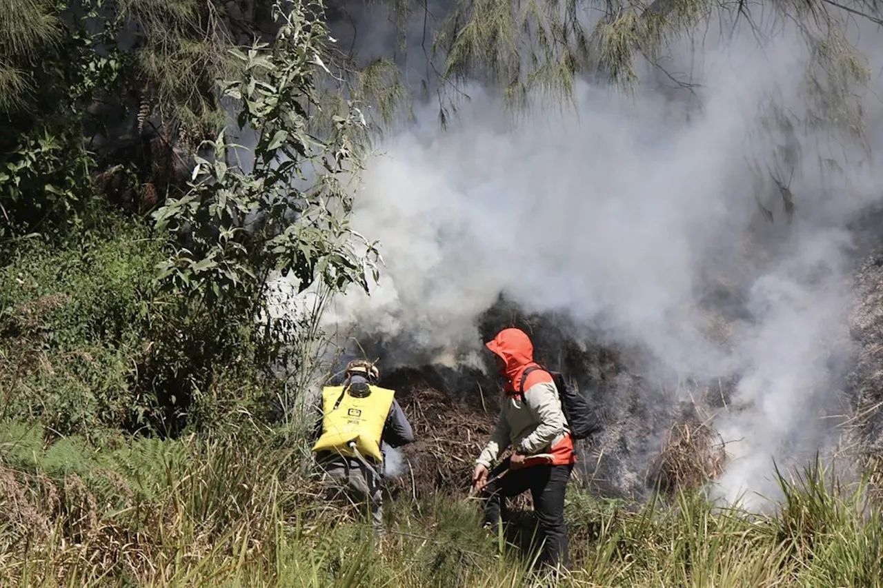 Karhutla kembali terjadi kawasan Bromo, kini di area Gunung Batok