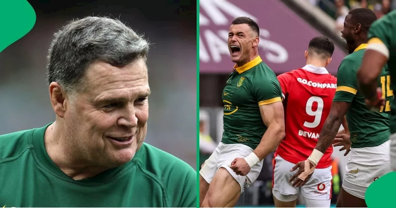 Coach Rassie Erasmus Gets Second Springbok Stint Underway With Convincing Wales Win