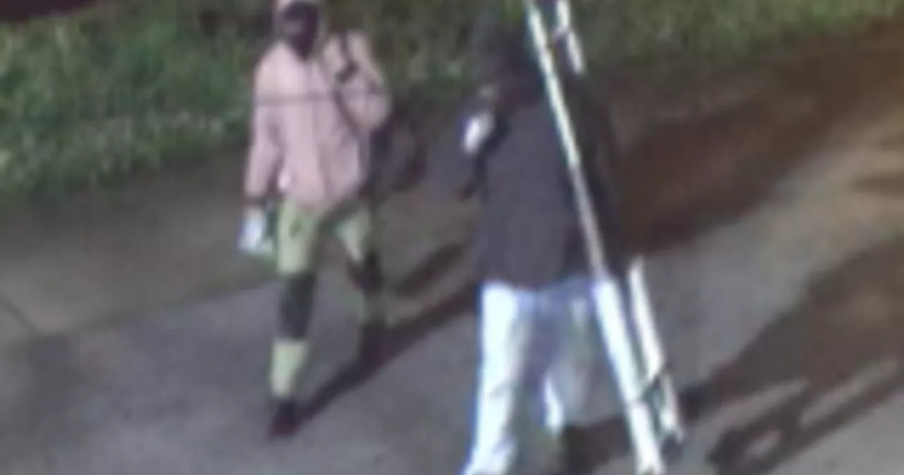 Chicago police seek suspects in 3 South Side business burglaries