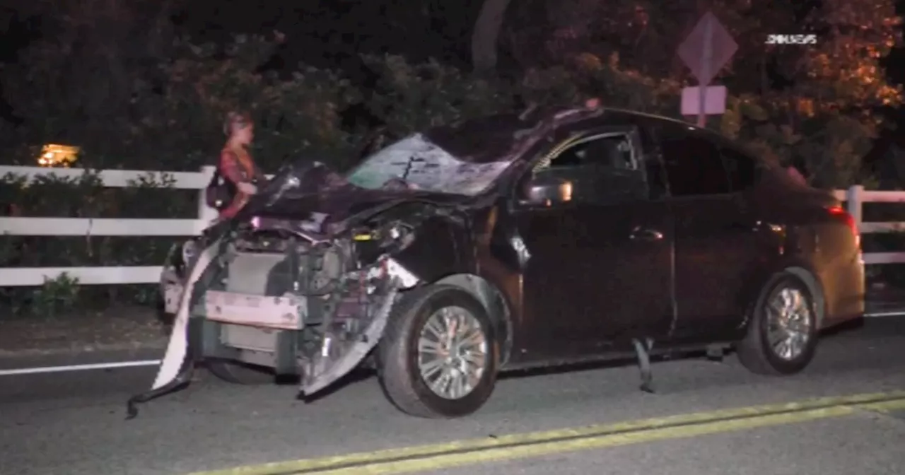 2 horses killed, rider injured in Santa Clarita crash