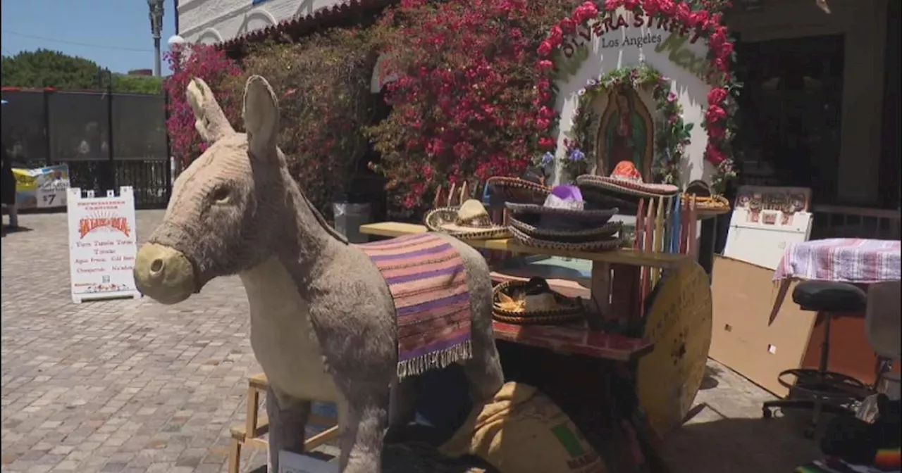 LA City Council takes steps to save Olvera Street's beloved 'El Burro'